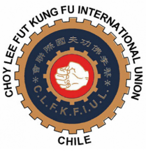 logo panamerican