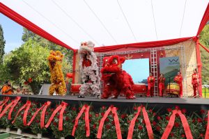 Año nuevo chino Parque OHiggins